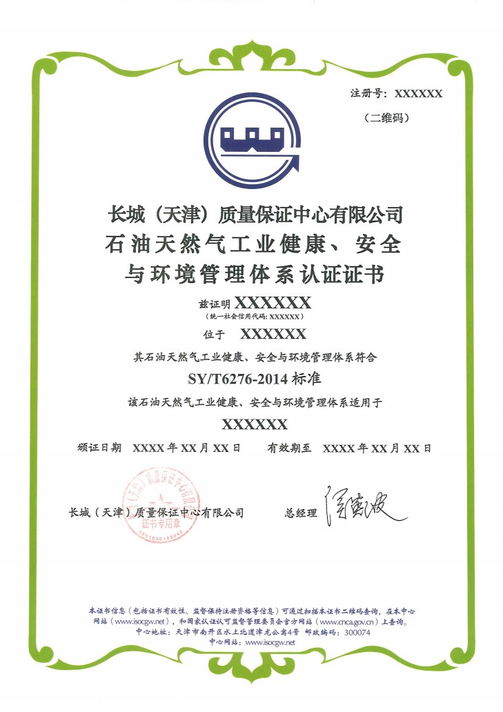 HSE石油天然气工业健康安全环境管理6276标准证书样式_1